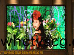 萬(wan)科地(di)産(chan)---廣州(zhou)增(zeng)城(cheng)桃源裏銷售中心(xin)